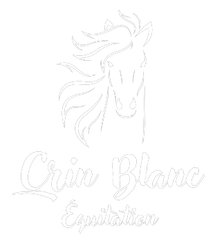 Crin blanc équitation